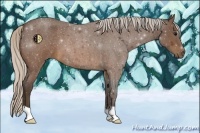 Horse Color:Silver Brown Roan 