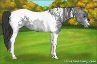 Horse Color:Smoky Black Ice Tobiano 