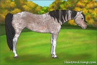 Horse Color:Bay Ice Tobiano 
