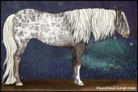 Horse Color:Liver Chestnut Ice Rabicano 