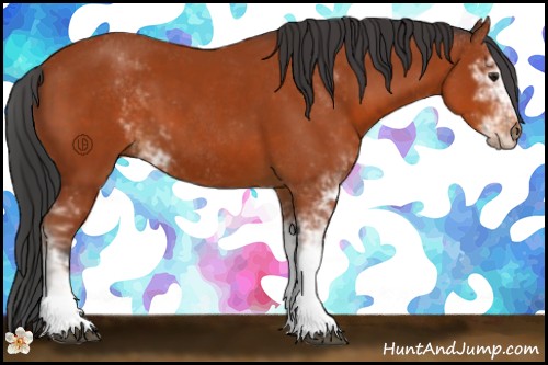 Horse Color:Bay Sabino 