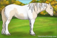 Horse Color:Perlino Tobiano 