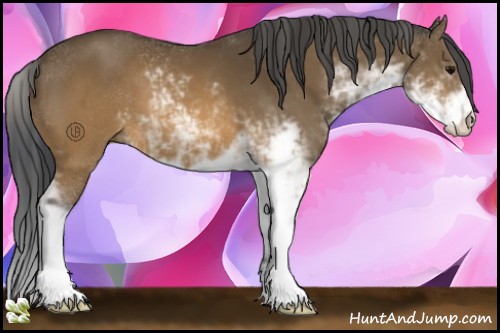 Horse Color:Brown Sabino