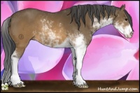 Horse Color:Brown Sabino