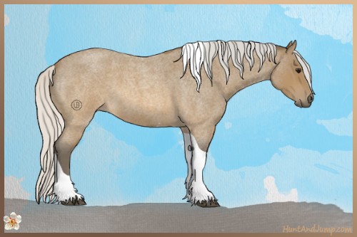 Horse Color:Silver Brown Roan Tobiano 