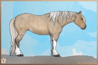 Horse Color:Silver Brown Roan Tobiano 