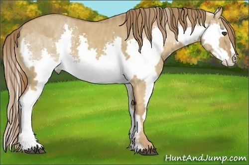 Horse Color:Red Dun Splash Frame  Brindle
