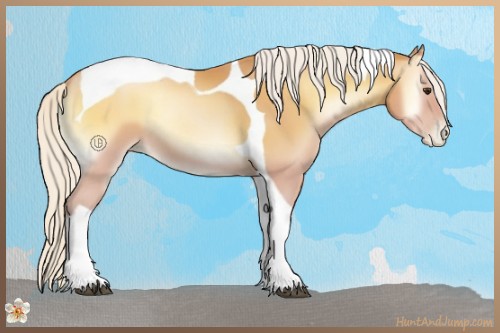 Horse Color:Silver Bay Pearl Onyx Tobiano