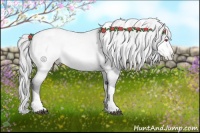 Horse Color:Bay Chinchilla Pearl Dun Tobiano Appaloosa Rabicano