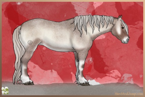Horse Color:Silver Blue Onyx Roan 