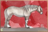 Horse Color:Silver Blue Onyx Roan 