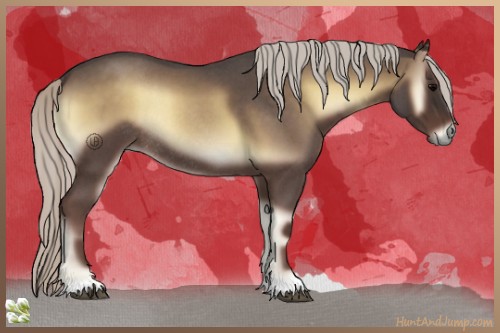 Horse Color:Silver Blue Onyx Roan Rabicano 