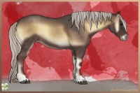 Horse Color:Silver Blue Onyx Roan Rabicano 