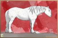 Horse Color:Watercolor Amber Cream Champagne Tobiano Appaloosa 