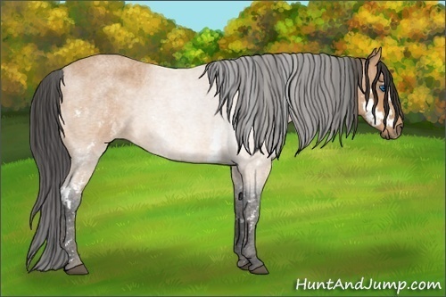 Horse Color:Bay Roan Splash Frame  Brindle