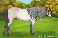 Horse Color:Bay Roan Splash Frame Brindle