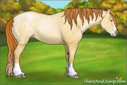 Horse Color:Amber Champagne Ice Pearl Dun Splash