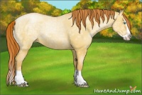Horse Color:Amber Champagne Ice Pearl Dun Splash