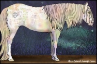 Horse Color:Nacre Gold Cream Champagne Ice Onyx 