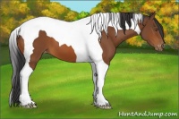 Horse Color:Bay Tobiano Varnish 