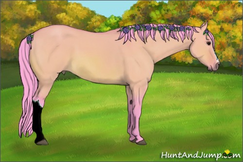 Horse Color:Watercolor Bay Dun 