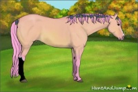 Horse Color:Watercolor Bay Dun 