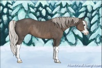 Horse Color:Silver Black Sabino Splash Rabicano 