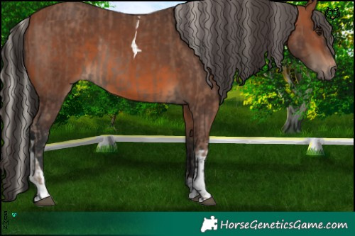 Horse Color:Silver Black Tobiano and Bay Tobiano