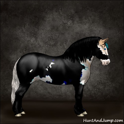Horse Color:Silver Amber Champagne Tobiano Frame 