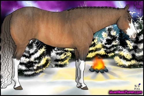 Horse Color:Buckskin Splash Frame  Brindle