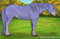Horse Color:Watercolor Chestnut 
