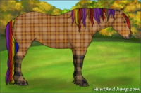 Horse Color:Gray Painted Plaid  Bay 