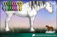 Horse Color:White Spotted Buckskin Sabino