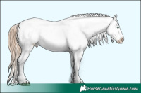 Horse Color:Gold Champagne Pearl Splash Snowcap 