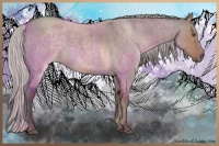 Horse Color:Silver Smoky Grullo Roan 