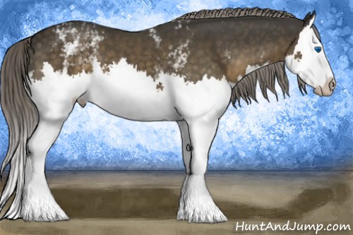 Horse Color:White Spotted Chocolate Palomino Splash 