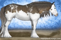 Horse Color:White Spotted Chocolate Palomino Splash 