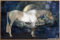 Horse Color:Chocolate Palomino Roan Sabino