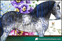 Horse Color:Gray Watercolor Brown Ice and Gray White Spotted Black