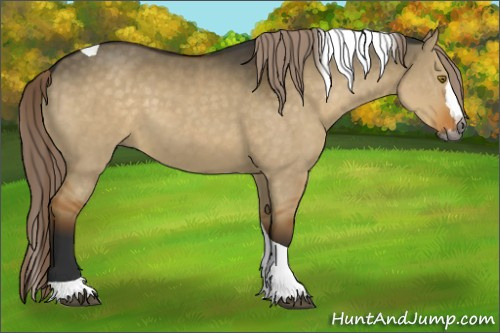 Horse Color:Gray Chocolate Palomino Dun Splash Tobiano 