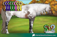 Horse Color:White Spotted Liver Red Roan 