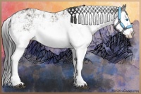 Horse Color:Grullo Sabino Splash  and Grullo Sabino Splash 