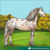Horse Color:White Spotted Chocolate Palomino Ice 