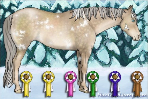 Horse Color:White Spotted Chocolate Palomino Pearl Sabino