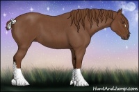 Horse Color:Red Roan 