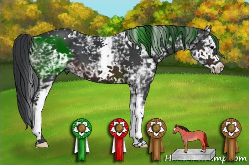 Horse Color:White Spotted Brown 