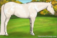 Horse Color:White Spotted Gold Cream Champagne Pearl Frame 