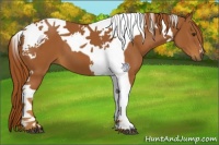 Horse Color:Chestnut Tobiano 