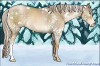 Horse Color:White Spotted Chocolate Palomino Pearl 