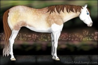 Horse Color:Brown Ice Pearl Onyx Splash
